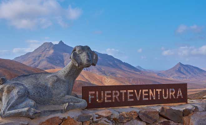 fuerteventura airport